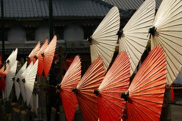 和傘が美しい hyakuさん