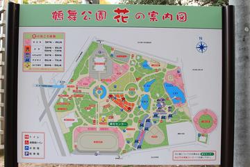 公園Map お魚さん