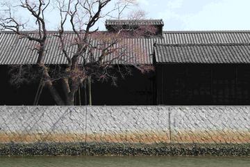 黒塀と木立 咲さん