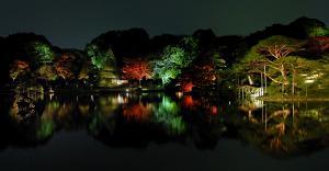 夜の六義園 DriveNavi （写真提供：（財）東京都公園協会）さん