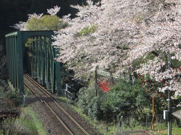 鉄橋・・・桜飾り ヤマトさん