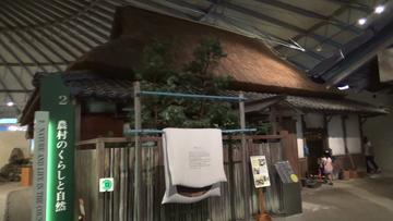 古き良き日本家屋が再現されています 龍飛さん