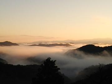 高野山龍神スカイライン朝陽の雲海です lovez33さん