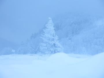 雪景色・・・樹氷 ハムさん