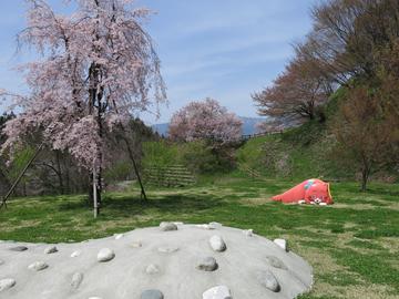 桜の遊び場 ハムさん