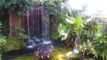 夢の島熱帯植物園