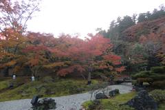 日本庭園と紅葉のコントラストが素敵でした！