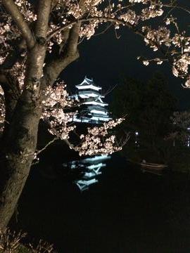 桜と松本城 ericさん
