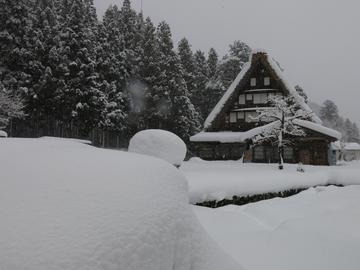 雪景色 Hamuさん
