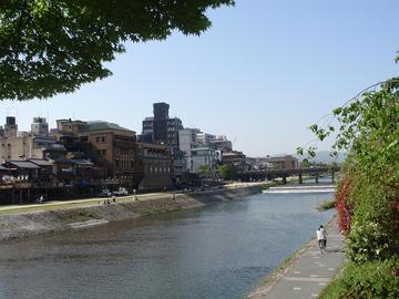 京都で観光ついでに散歩するなら鴨川沿いが気持ちよい♪ 秋桜さん