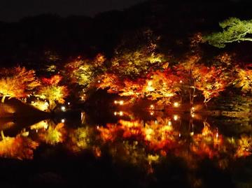 天下の名園  秋のライトアップ sachinokaichigoさん