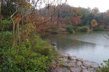 秋色の池（２） fishさん