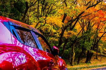 THE 紅葉ドライブ 横須賀ロランさん