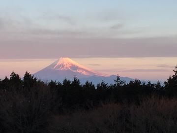 日本一綺麗な富士山が見れる場所 セシルさん