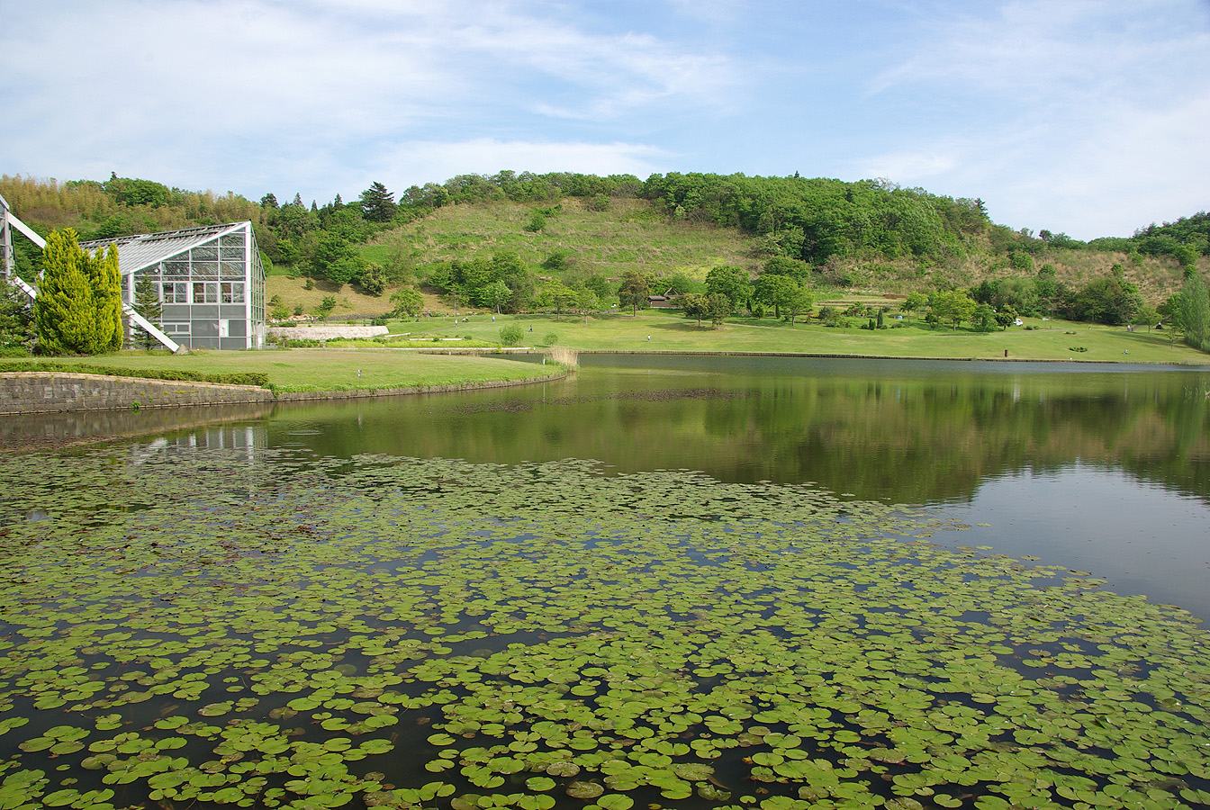 新潟県立植物園 にいがたけんりつしょくぶつえん 新潟県 の口コミ アクセス情報 地図 日産ドライブナビ