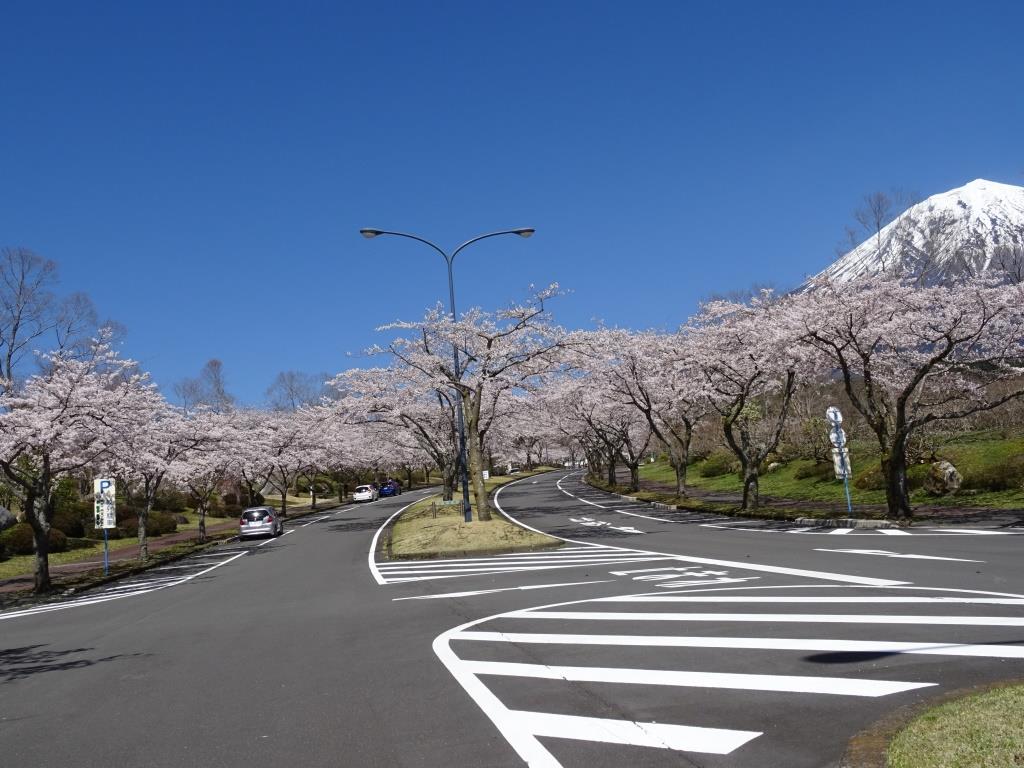 富士桜自然墓地公園 ふじさくらしぜんぼちこうえん 静岡県 の口コミ アクセス情報 地図 日産ドライブナビ