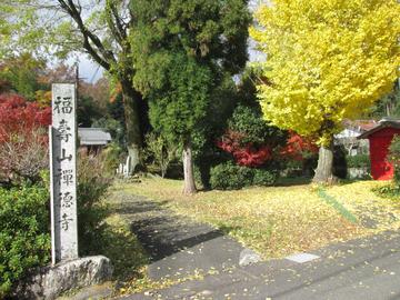 禅徳寺の紅葉風景（１） hamuさん