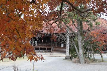 秋景色～その１ hamuさん