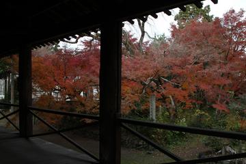 秋景色～その３ hamuさん