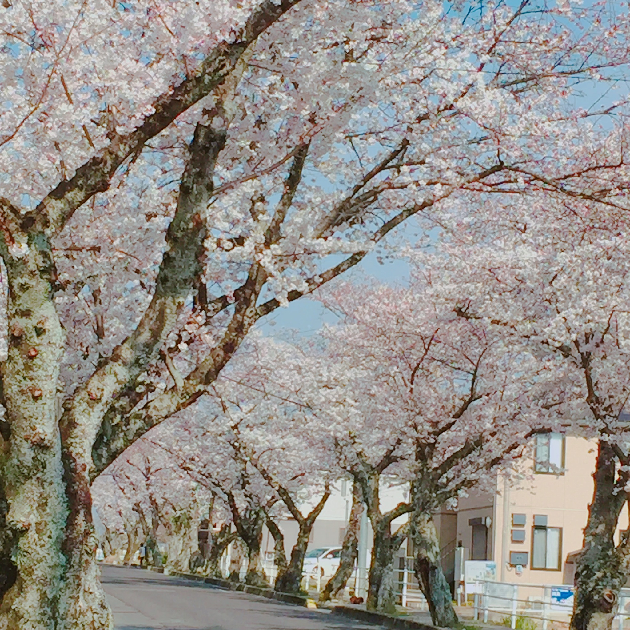 豊田市高原町