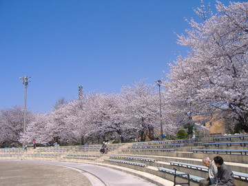 鶴舞公園 つるまこうえん 愛知県 の口コミ アクセス情報 地図 日産ドライブナビ