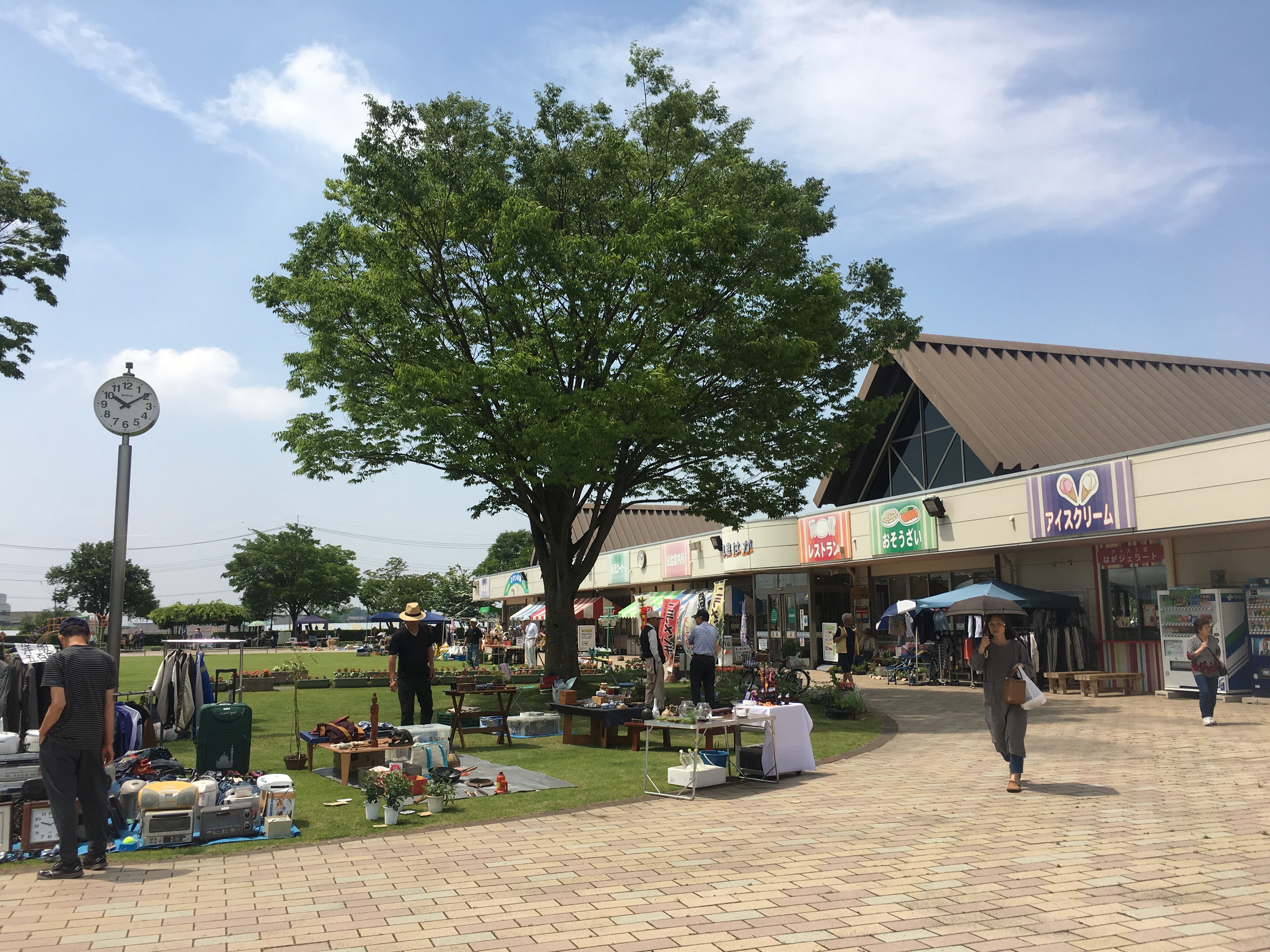 道の駅　はが