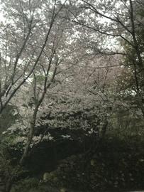 正福寺山公園
