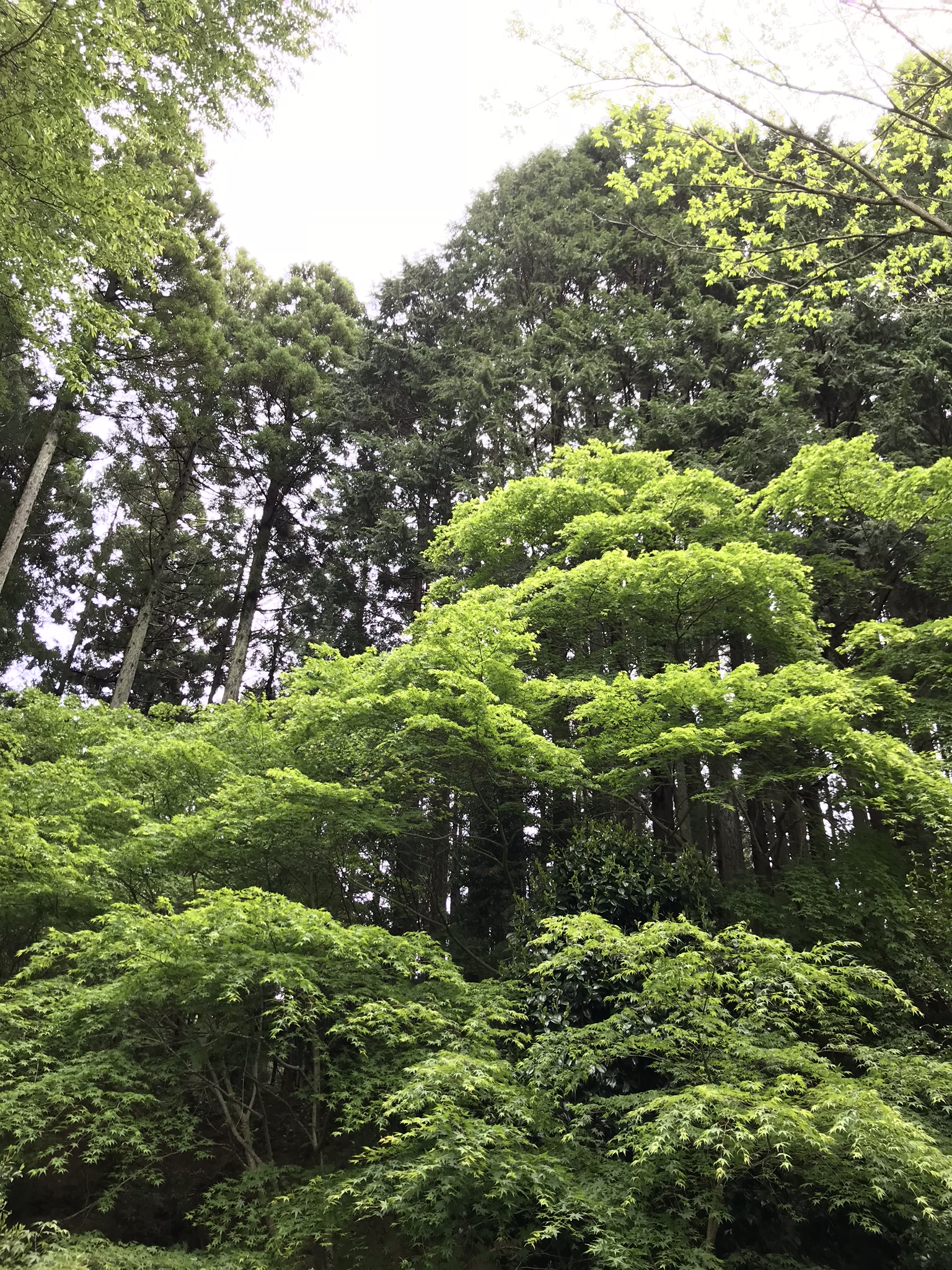 増渕魚園（北茨城市）
