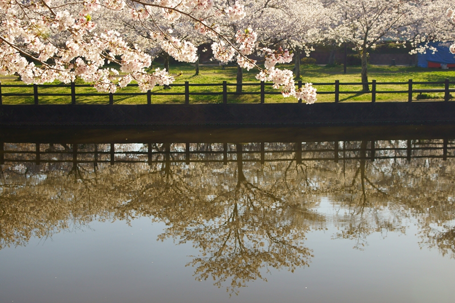 立岡自然公園 たちおかしぜんこうえん 熊本県 の口コミ アクセス情報 地図 日産ドライブナビ