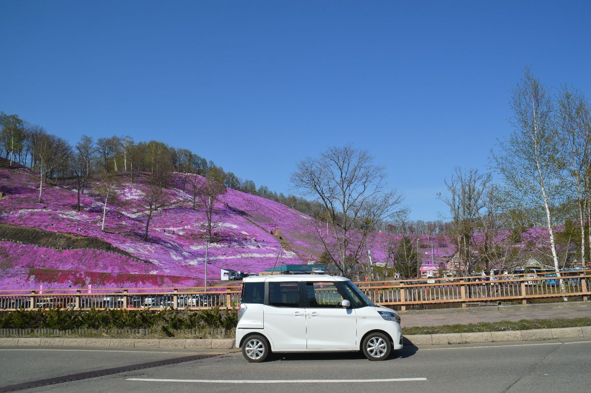 芝桜公園
