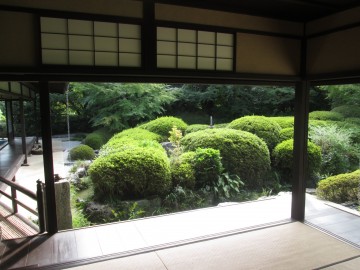 庭園（表側） hamutaさん