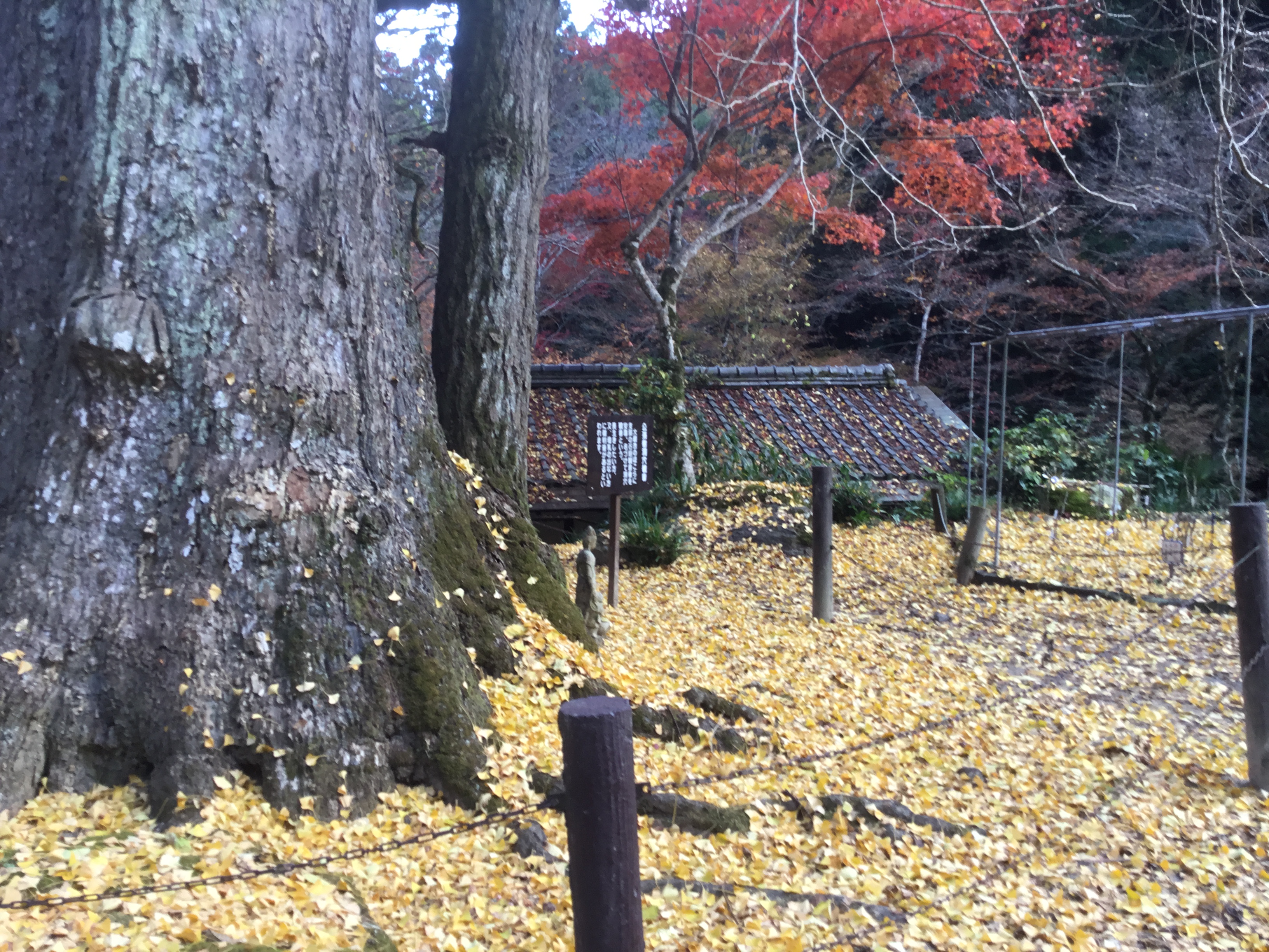 瀧塔山　龍蔵寺