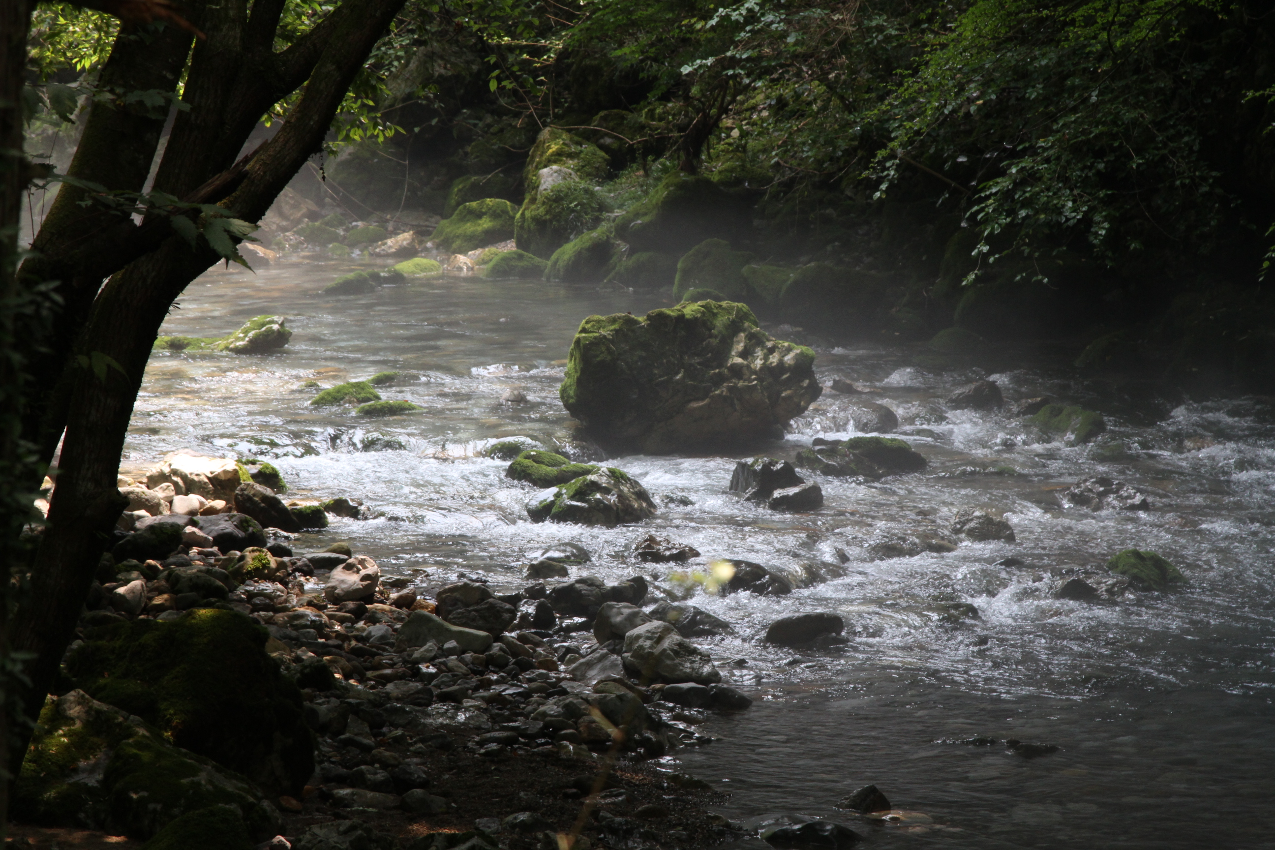 円原川の伏流水 えんばらがわのふくりゅうすい 岐阜県 の口コミ アクセス情報 地図 日産ドライブナビ