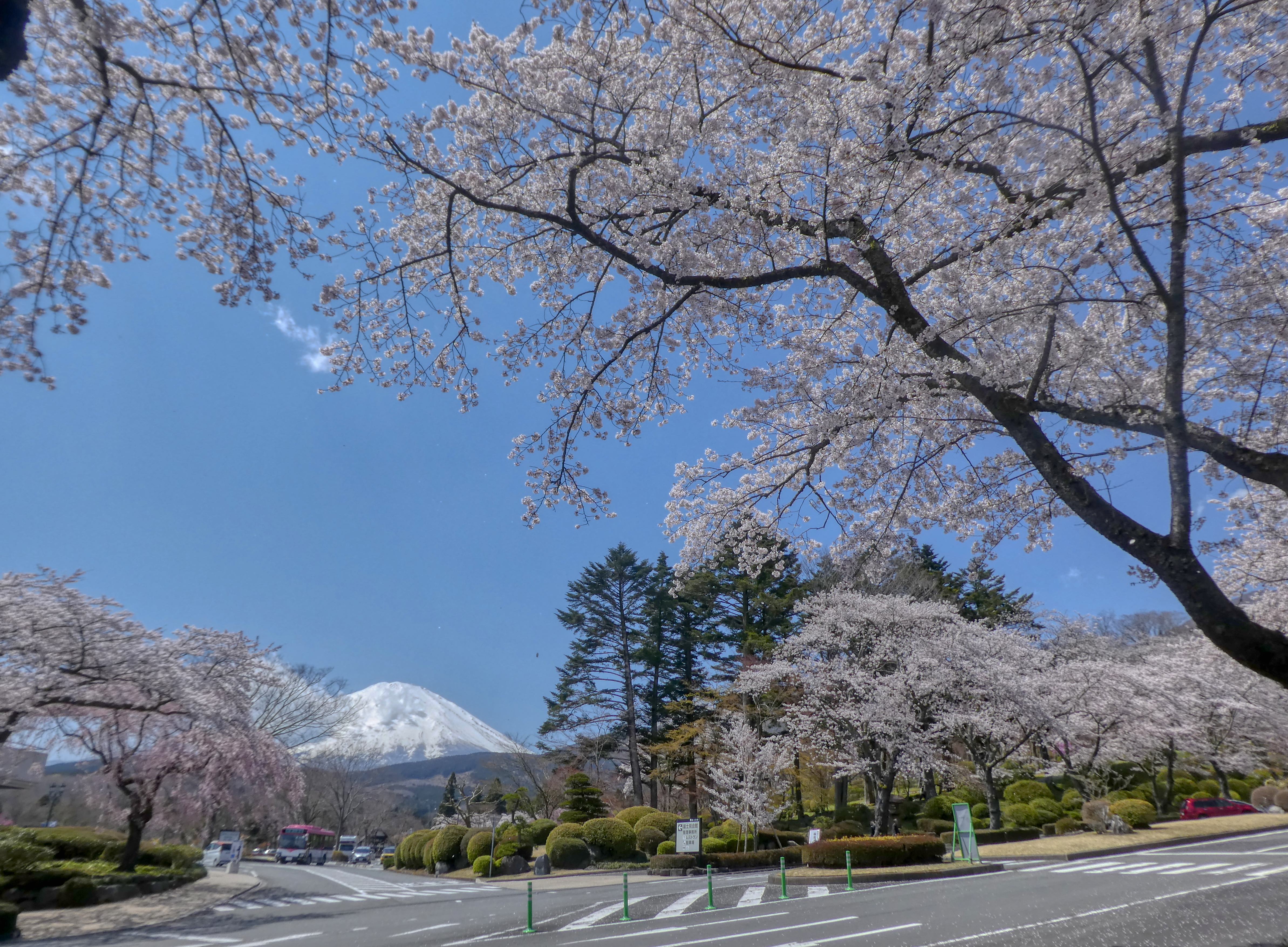 冨士霊園