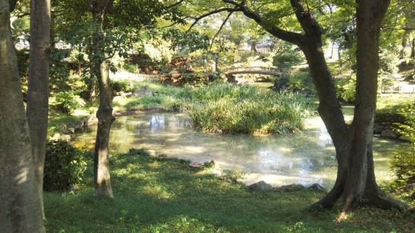 下茶屋公園 しもちゃやこうえん 愛知県 の口コミ アクセス情報 地図 日産ドライブナビ