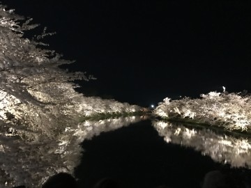 弘前城桜祭り　夜桜 KOさん