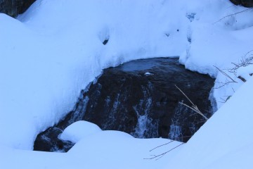 冬の滝 karimasaさん