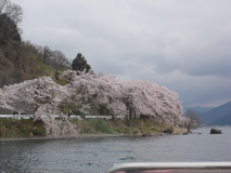 ドライブにぴったりな琵琶湖周辺のおススメスポット