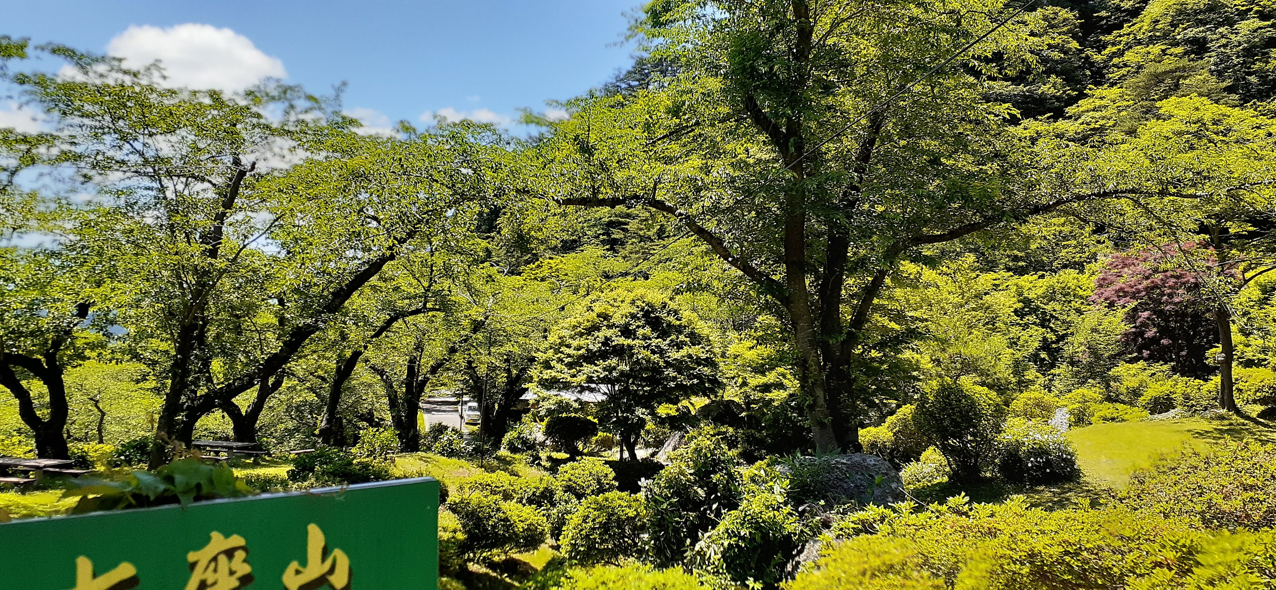 きみまち阪県立自然公園（きみまち阪）