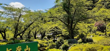 Fresh green of Kimimachizaka 風の又三郎さん