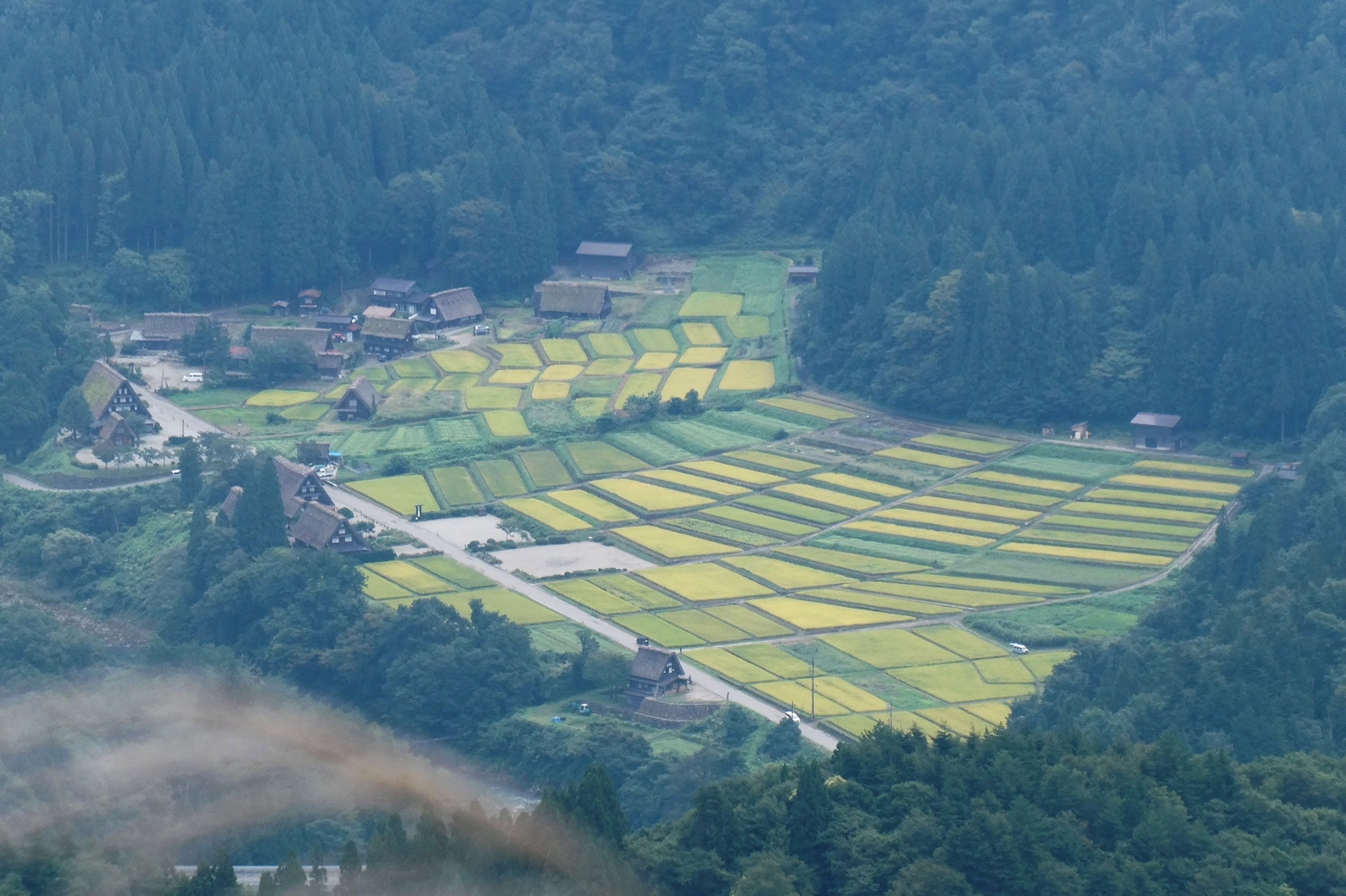 白山白川郷ホワイトロード 旧白山スーパー林道 はくさんしらかわごうほわいとろーど きゅうはくさんすーぱーりんどう の投稿写真 石川県 日産ドライブナビ