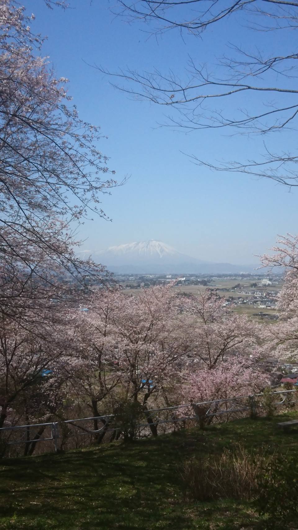 城山公園