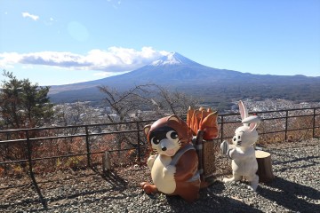 絶景の富士山 ふみさん
