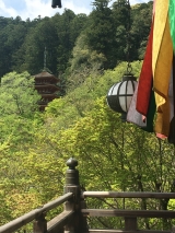 大きな大きな観音さまの長谷寺