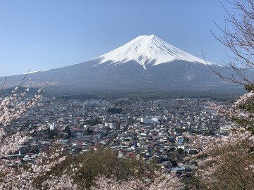 桜と富士山と五重塔のコラボが素敵 趣味はドライブ、釣りさん