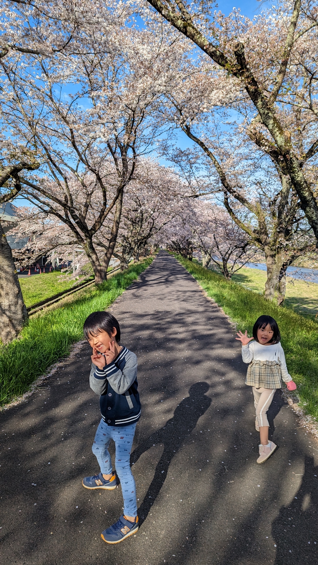 今年の花見