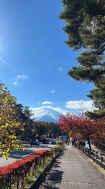 秋の富士山 さちこさん