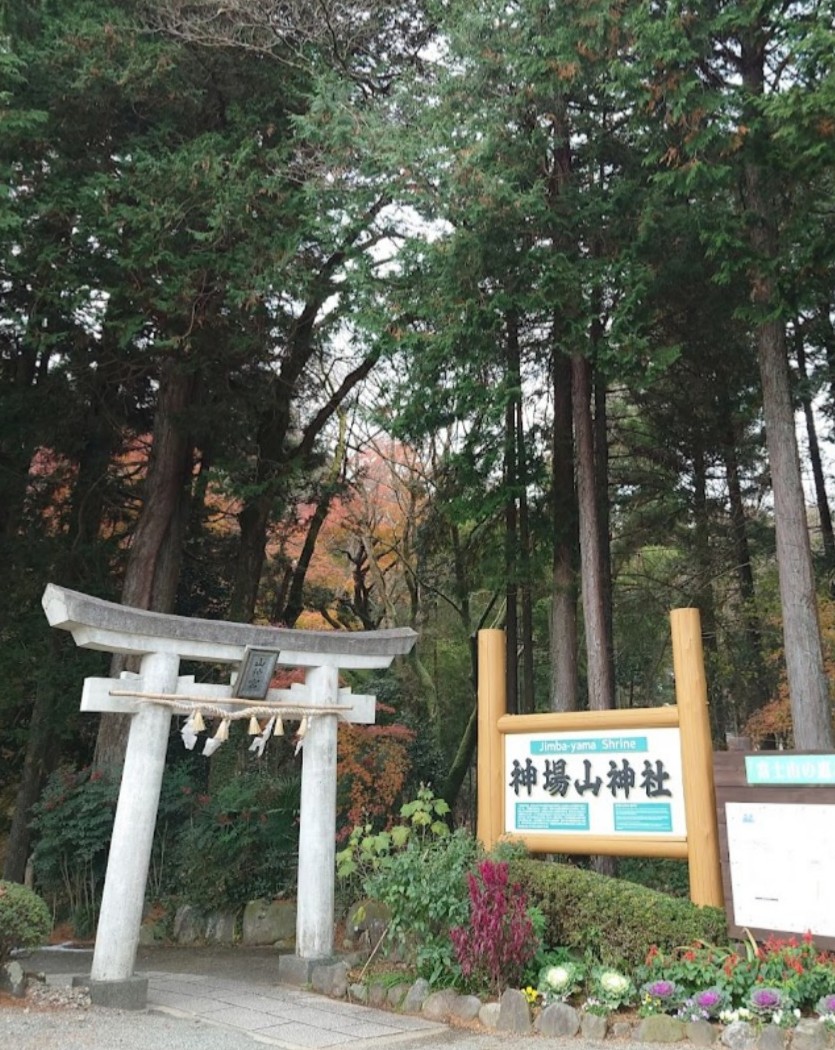 山の中の神社