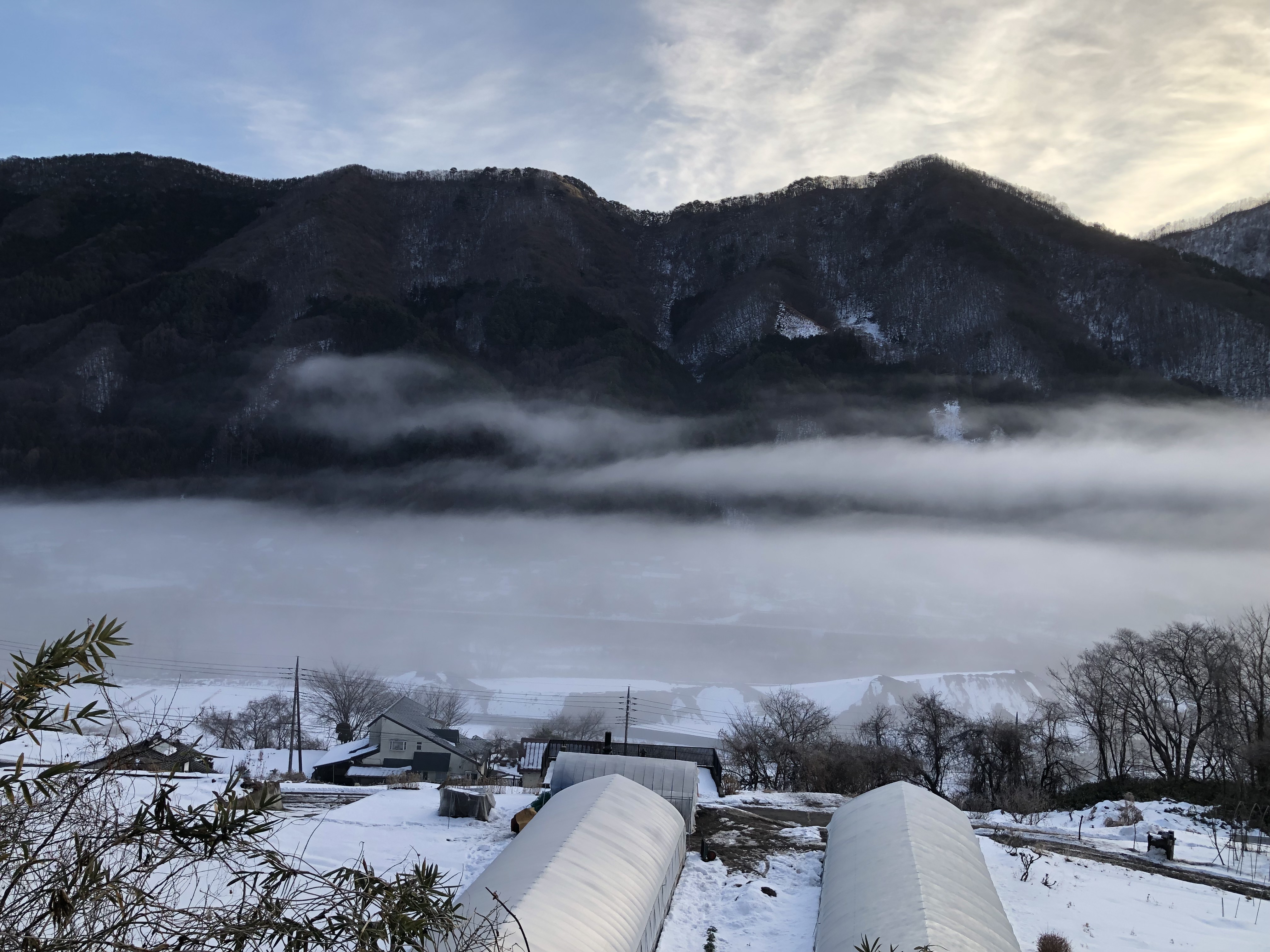 霧に包まれていて綺麗 タカさん