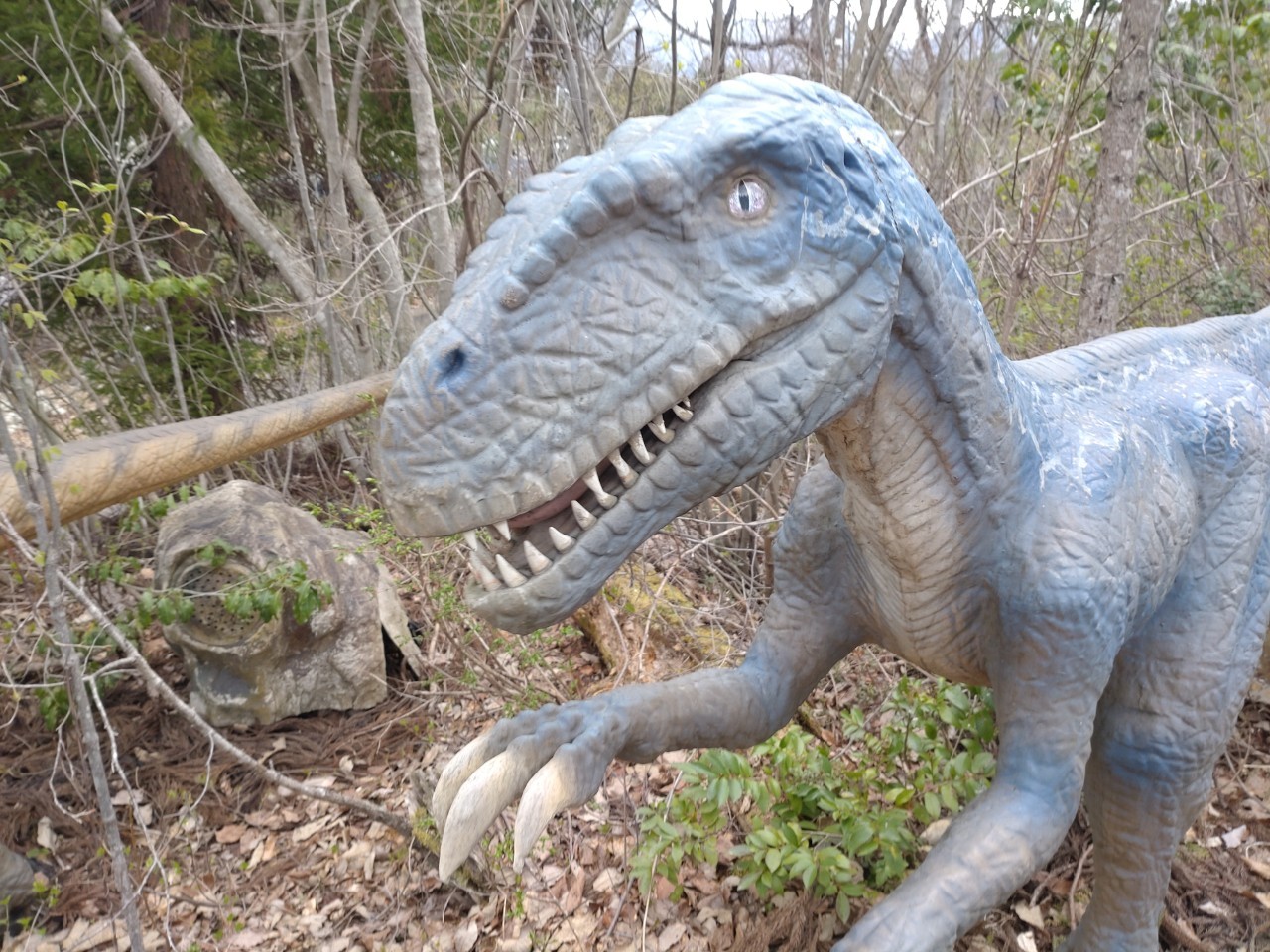 勝山の森で出会った恐竜